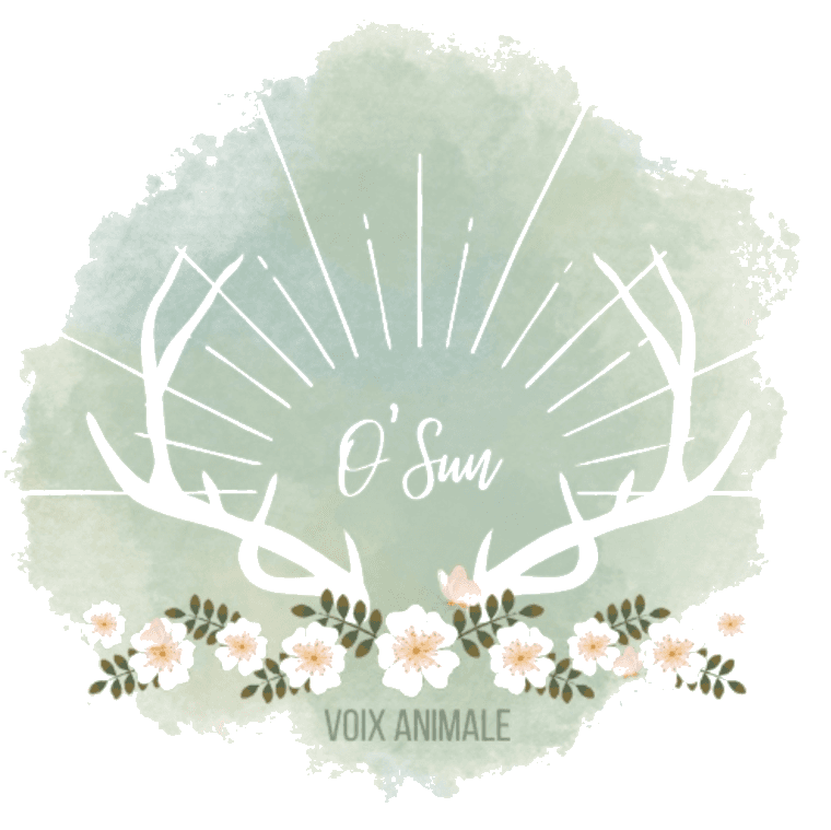 Logo d'O'Sun Voix Animale